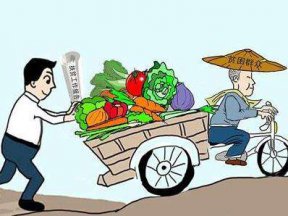 广金电商扶贫发展特色产业，微商城助农增收